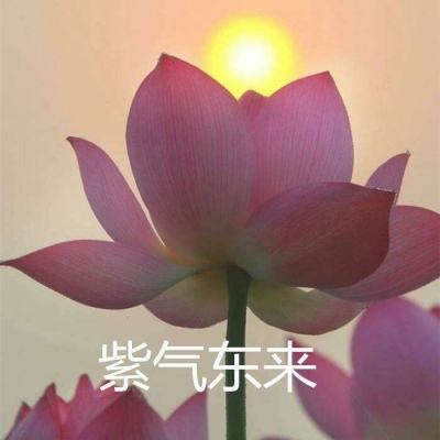 阿卡夏之眼破解版下载